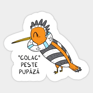 Colac peste pupaza Sticker